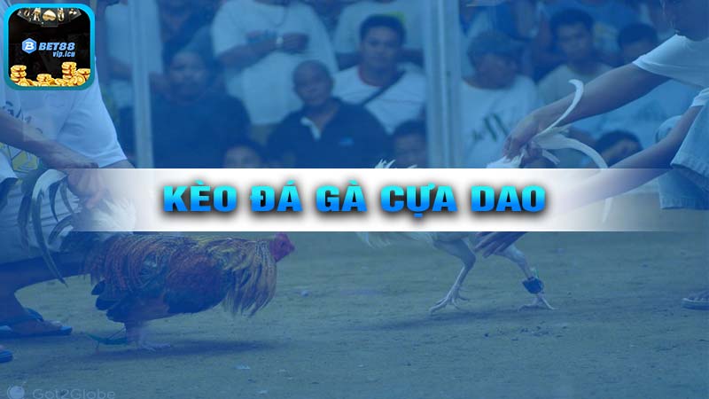 Các Loại Kèo Trong Đá Gà Cựa Dao