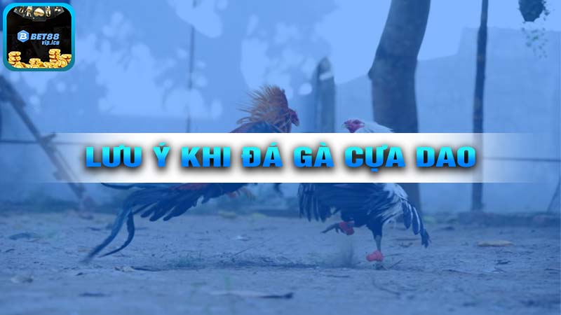 Rủi Ro Cần Lưu Ý Khi Cá Cược Đá Gà Cựa Dao